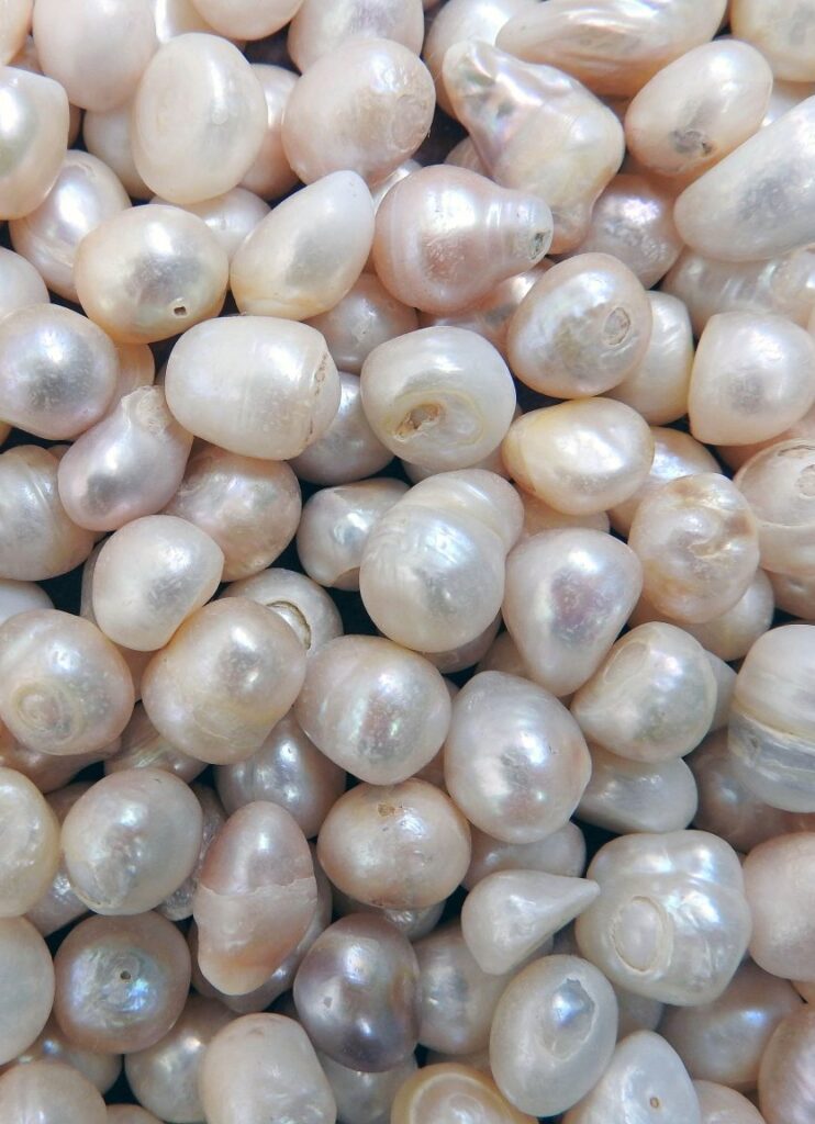 a close-up of numerous irregular white pearls with a soft iridescent sheen